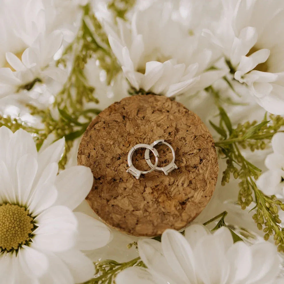 0Q7A8080 - Dream Dragons