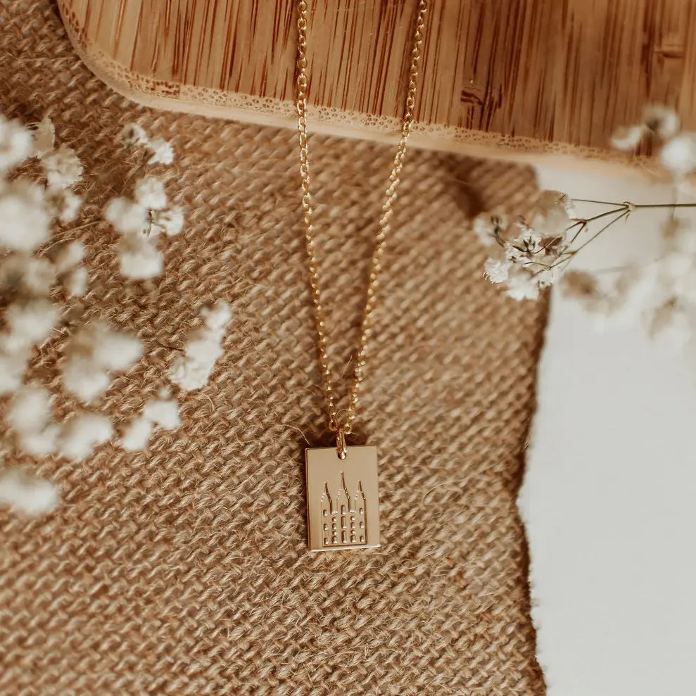 DSC_9098 - Dream Dragons