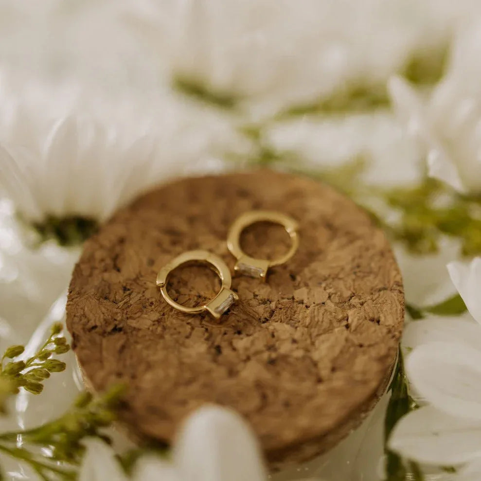 0Q7A8002 - Dream Dragons