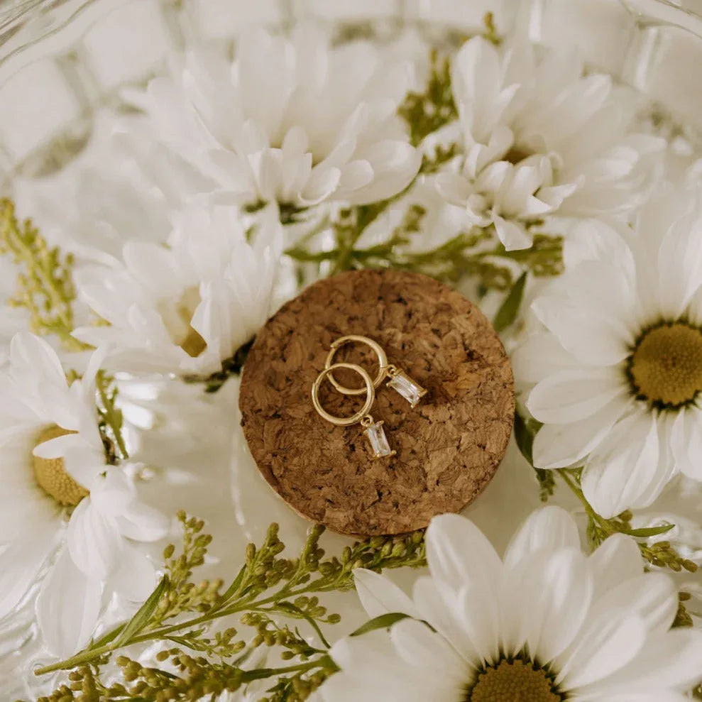 0Q7A8035 - Dream Dragons