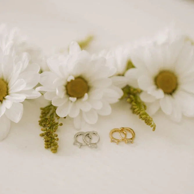 0Q7A8439 - Dream Dragons