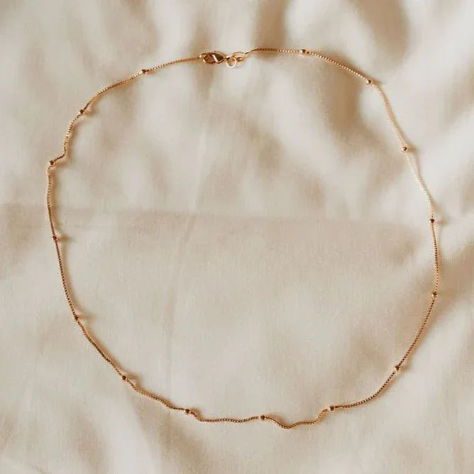 2F4A0233 - Dream Dragons