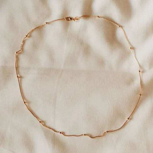 2F4A0233 - Dream Dragons