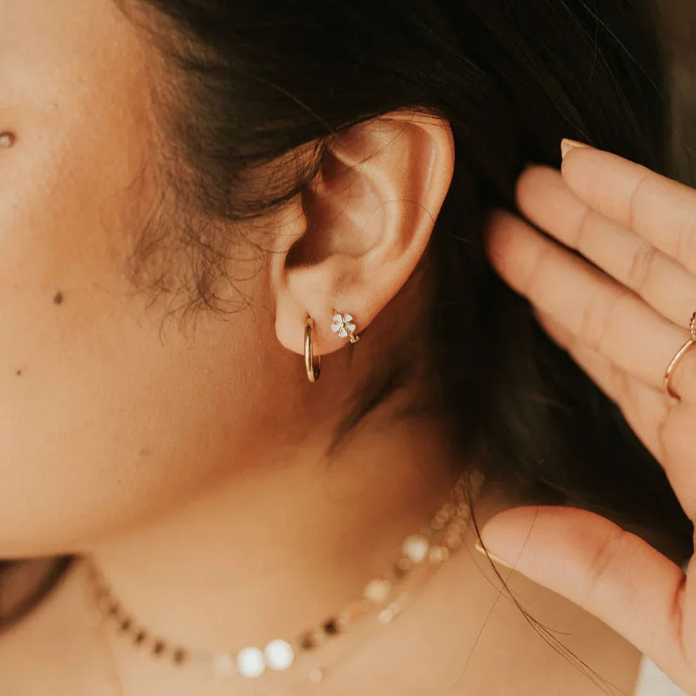 2F4A5024 - Dream Dragons