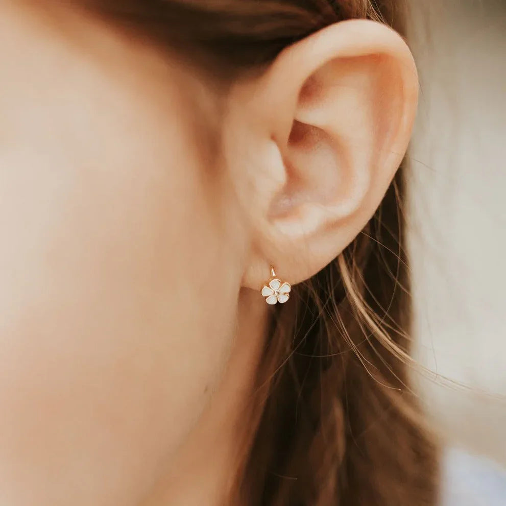 2F4A5367 - Dream Dragons