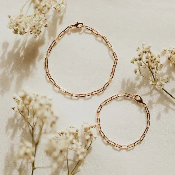 2F4A7032_12275bb1-70e3-4682-b4dc-219ee115e6b2 - Dream Dragons