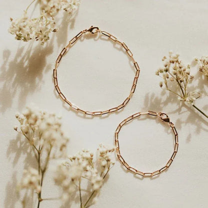 2F4A7032_12275bb1-70e3-4682-b4dc-219ee115e6b2 - Dream Dragons