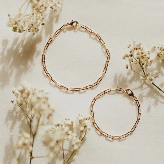 2F4A7032_12275bb1-70e3-4682-b4dc-219ee115e6b2 - Dream Dragons