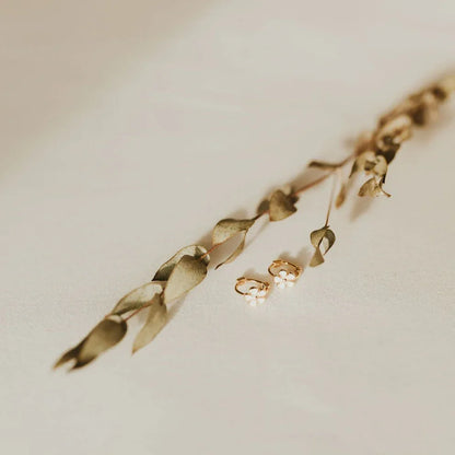 2F4A7131 - Dream Dragons