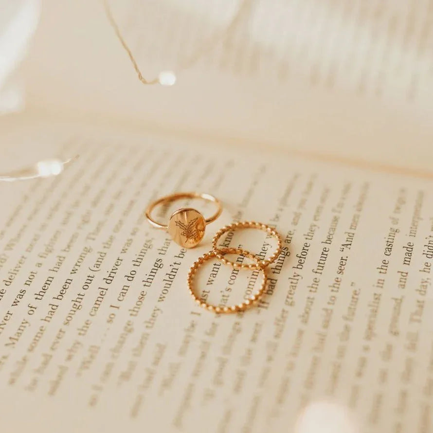 2F4A9042_382079a3-df4b-4a41-9513-f29370c16286 - Dream Dragons