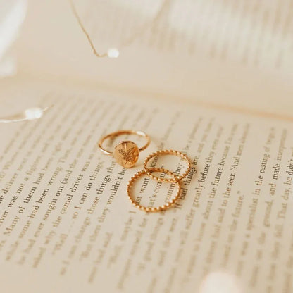 2F4A9042_382079a3-df4b-4a41-9513-f29370c16286 - Dream Dragons