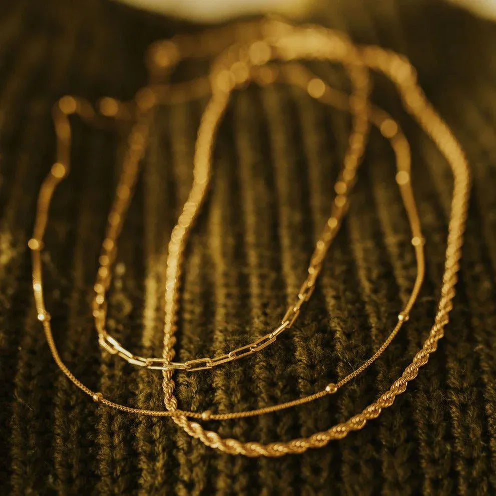 2F4A9056 - Dream Dragons