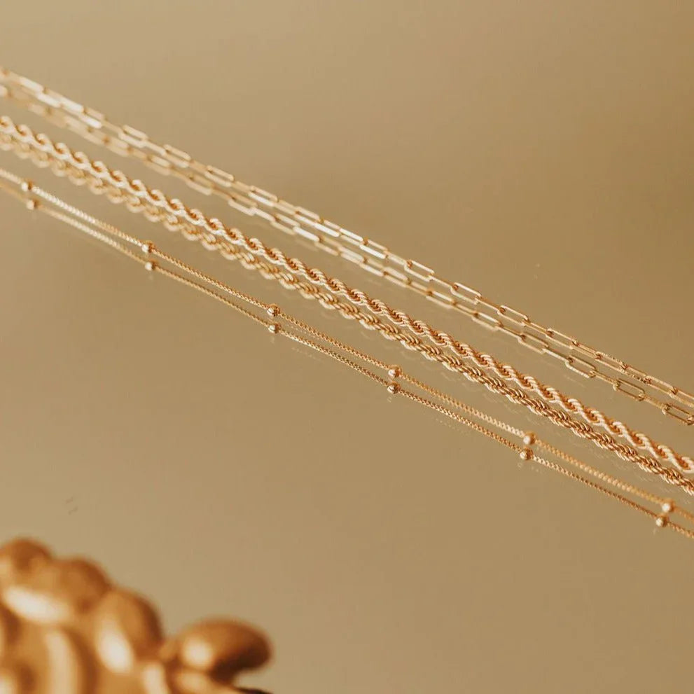 2F4A9080_8c95d653-ed2c-4c89-9650-14c05a8701f1 - Dream Dragons