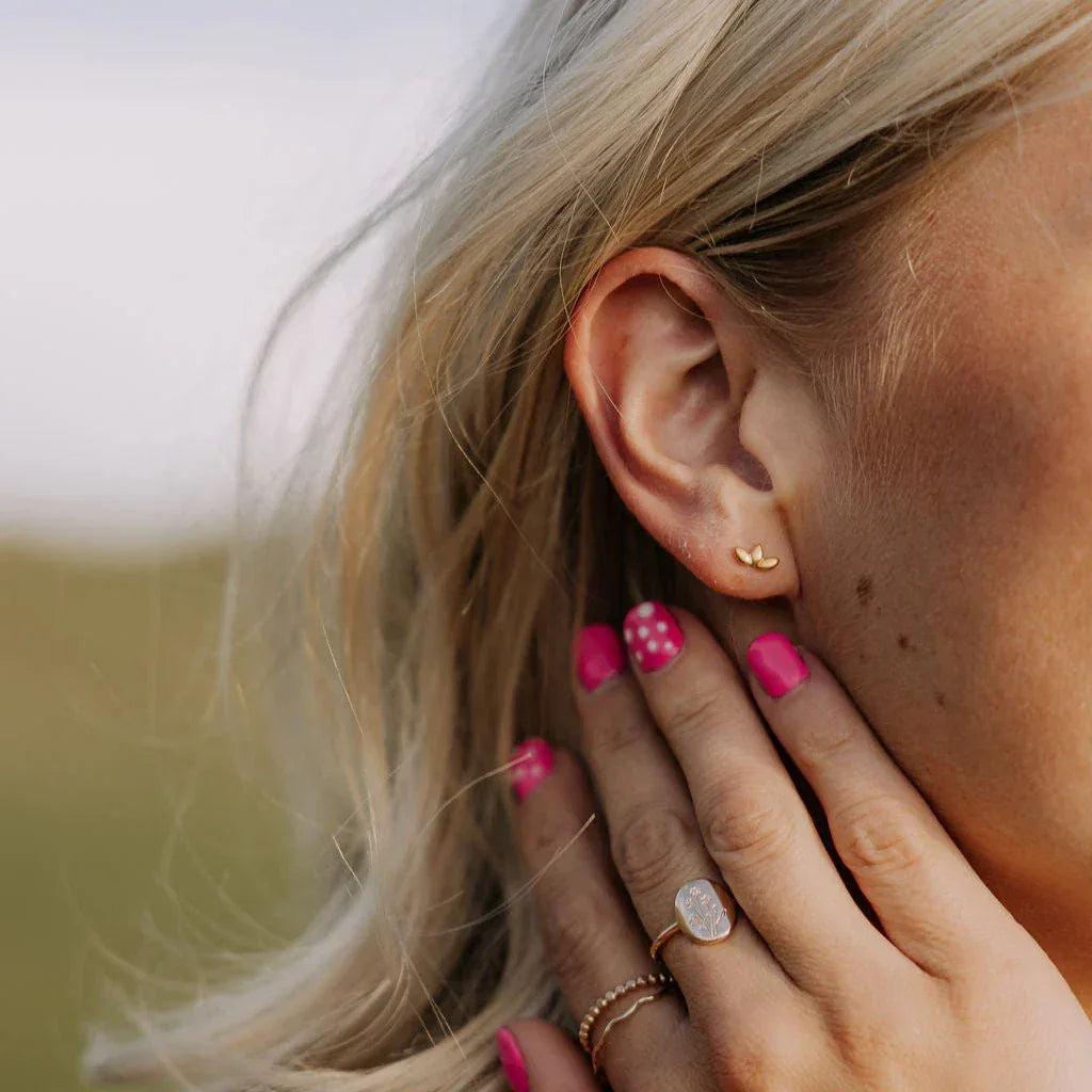 6Z5A0703_f1ab6cb6-2048-4b92-8a4b-61852bd034db - Dream Dragons