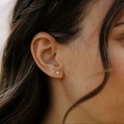 6Z5A0771_92317c89-9715-49b3-909d-ed929628b0d9 - Dream Dragons