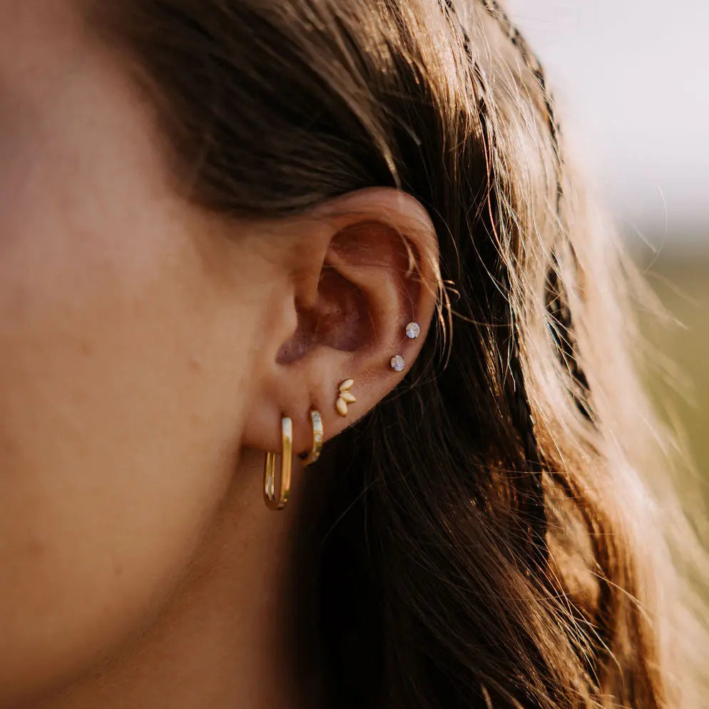 6Z5A0891_92e72576-01f5-46c7-b422-a9413d179f22 - Dream Dragons