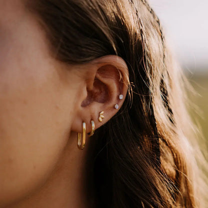 6Z5A0891_92e72576-01f5-46c7-b422-a9413d179f22 - Dream Dragons