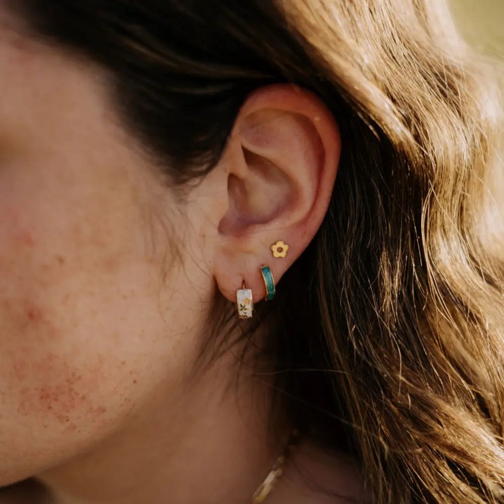 6Z5A1183_4f2055c0-d499-429d-bc1c-53a4858d2802 - Dream Dragons