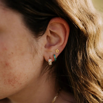 6Z5A1183_4f2055c0-d499-429d-bc1c-53a4858d2802 - Dream Dragons