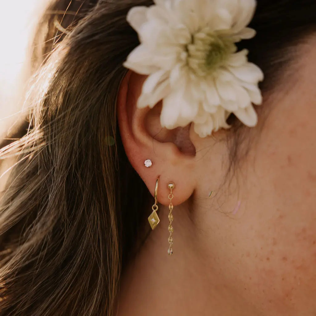 6Z5A1223_048fe525-2208-4285-b702-16aa3cb8ab75 - Dream Dragons