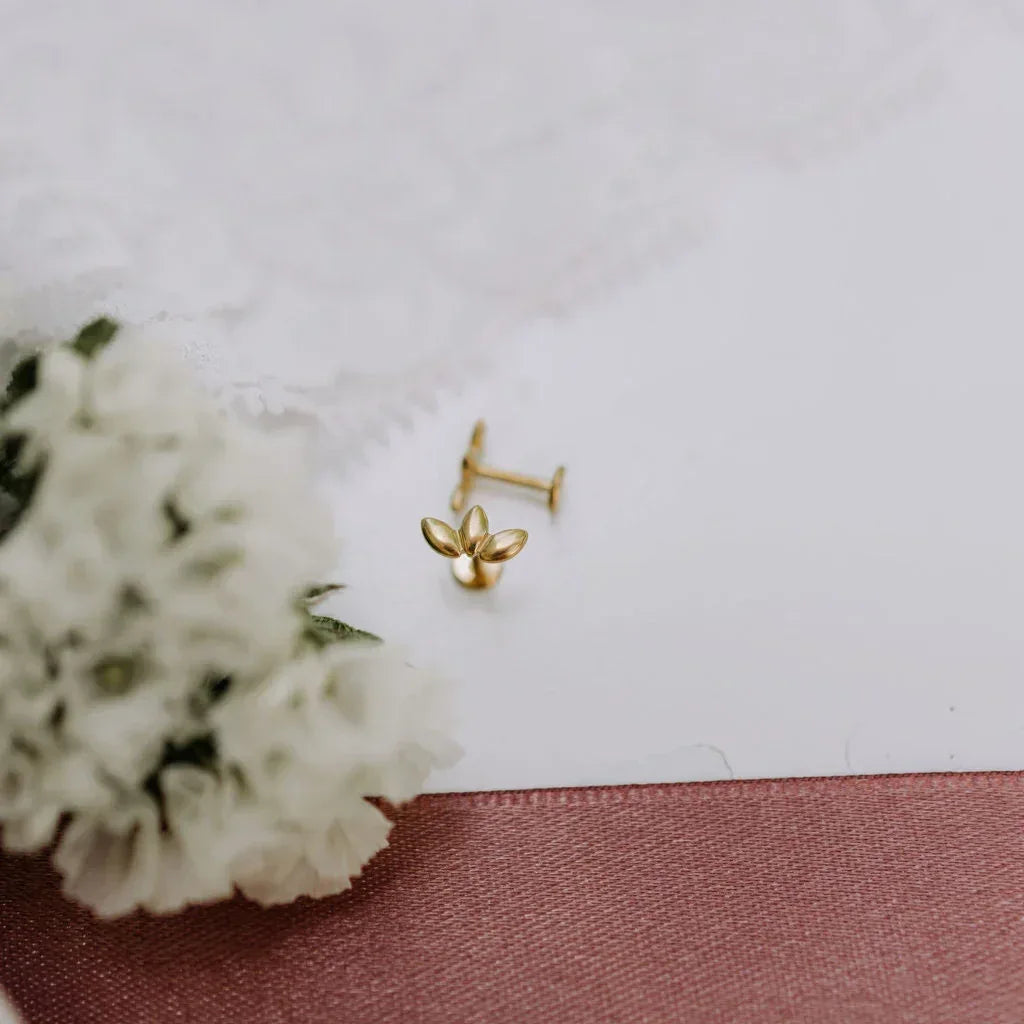 6Z5A2621_2725429d-d361-40f8-9d68-141f89e31e45 - Dream Dragons