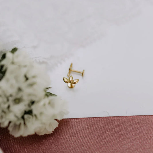 6Z5A2621_2725429d-d361-40f8-9d68-141f89e31e45 - Dream Dragons