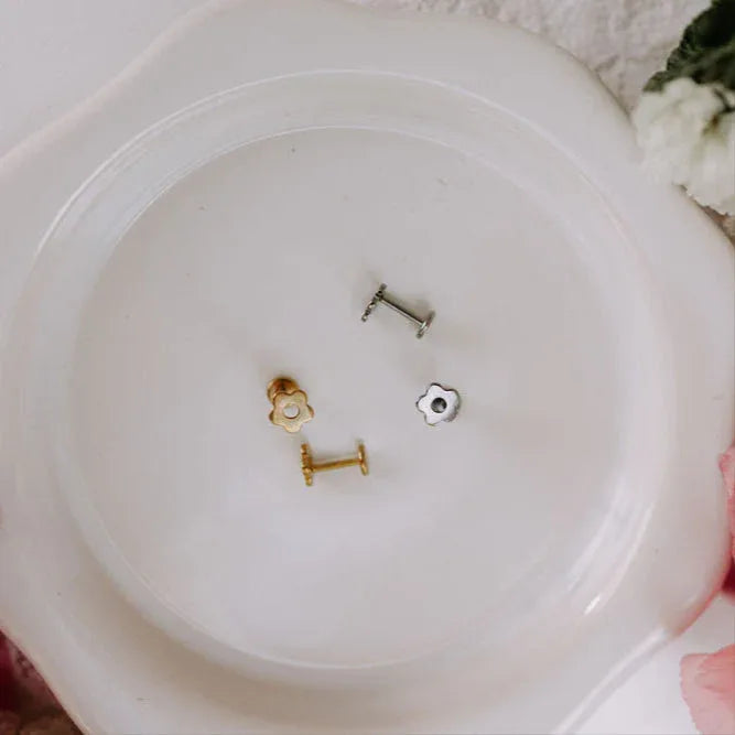 6Z5A2717_99f1436f-89c1-4725-a84d-475e882e9df7 - Dream Dragons