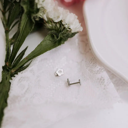 6Z5A2759_d8126b7f-c737-4547-8f42-50ab2a1917d3 - Dream Dragons