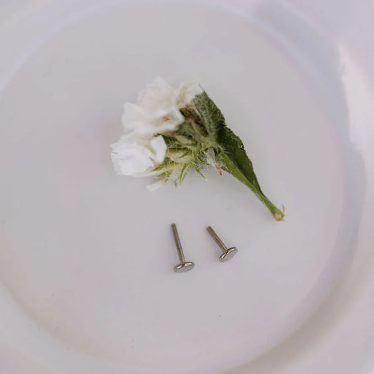 6Z5A2810_76ff861e-740d-42cd-989e-c529afd1fd96 - Dream Dragons