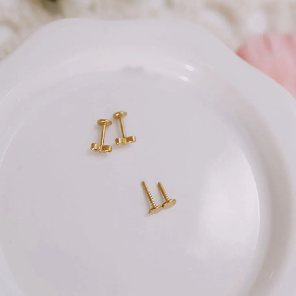 6Z5A2835_9ccfc43b-319e-4416-a431-0e4556a5808f - Dream Dragons