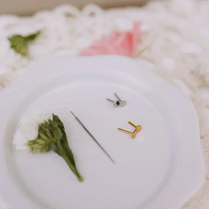 6Z5A2843_b041a525-268c-4fa5-b00a-1a1856443d5a - Dream Dragons