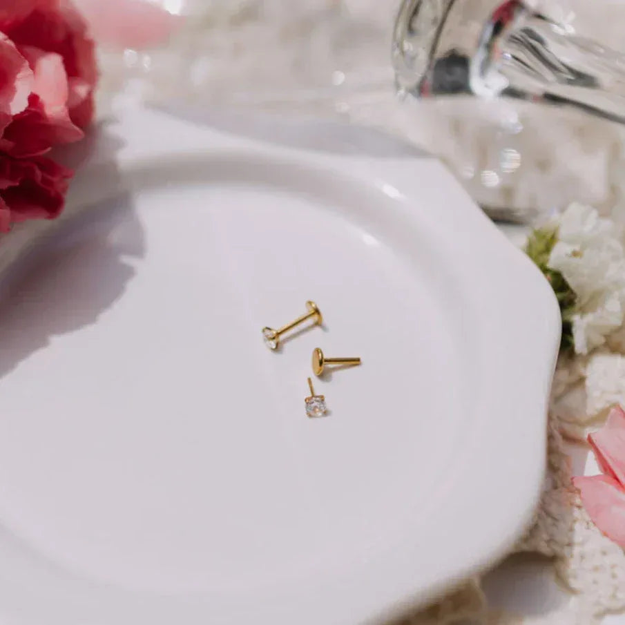 6Z5A2915_cbd9fa1d-29a4-4d98-972b-44e54d7d85f9 - Dream Dragons