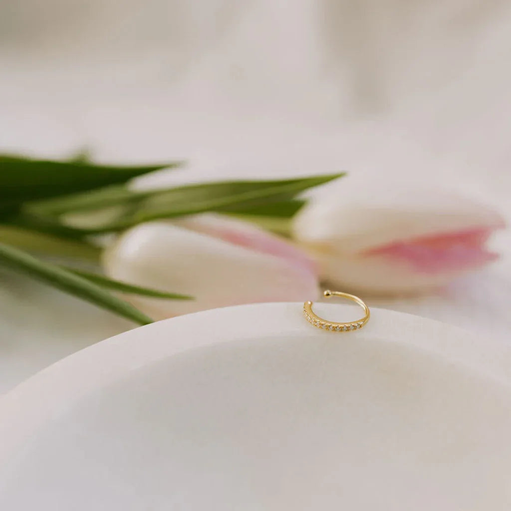 6Z5A5234 - Dream Dragons