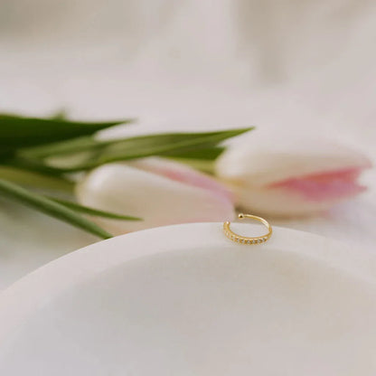 6Z5A5234 - Dream Dragons