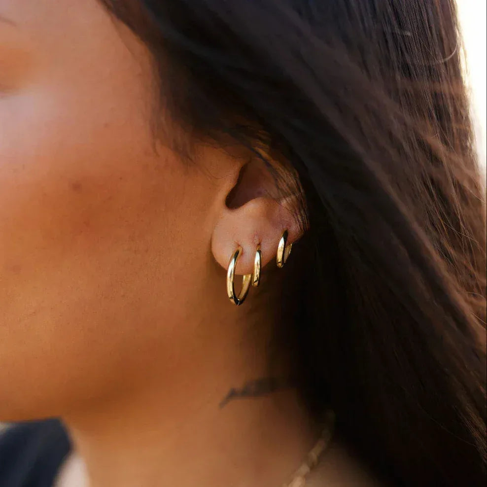 BFA68314-7F30-4D57-8F2C-8070695550BE - Dream Dragons