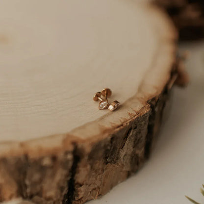 DSC_0467 - Dream Dragons