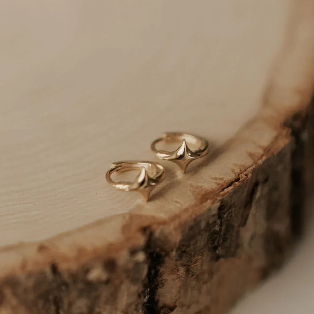 DSC_0510-2 - Dream Dragons