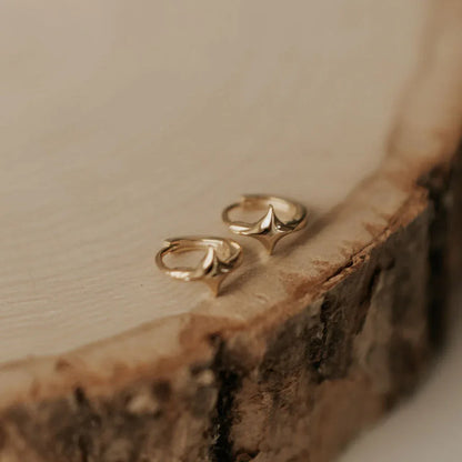 DSC_0510-2 - Dream Dragons