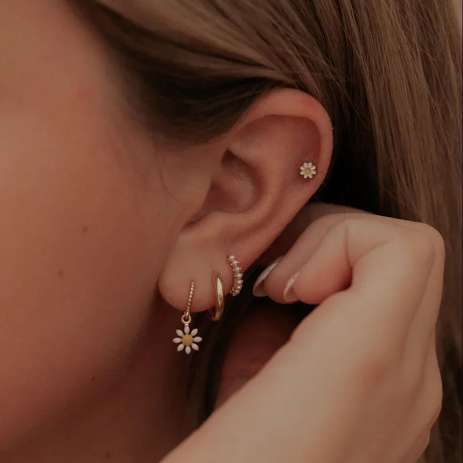 DSC_1772-2 - Dream Dragons