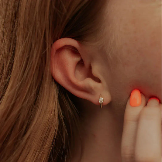 DSC_1824 - Dream Dragons