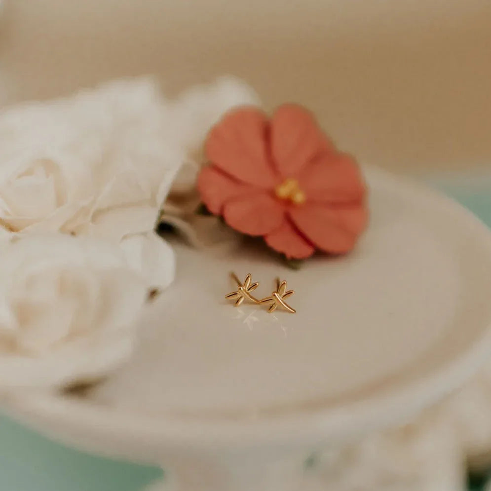 DSC_2067f - Dream Dragons