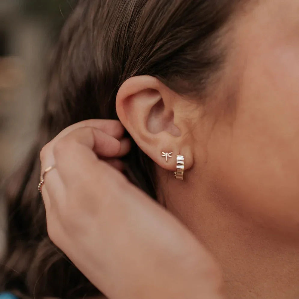 DSC_2080 - Dream Dragons