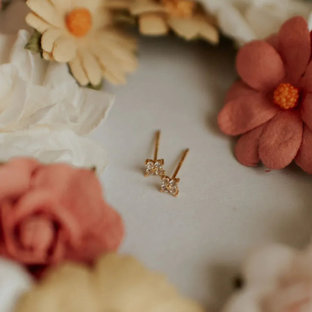 DSC_2465f - Dream Dragons