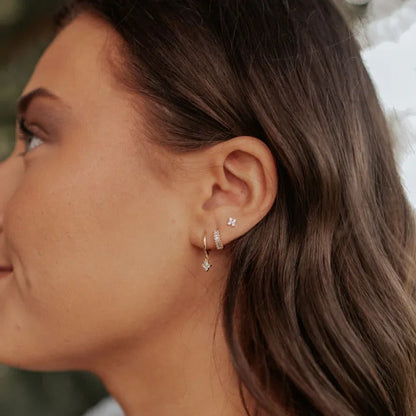 DSC_2603 - Dream Dragons