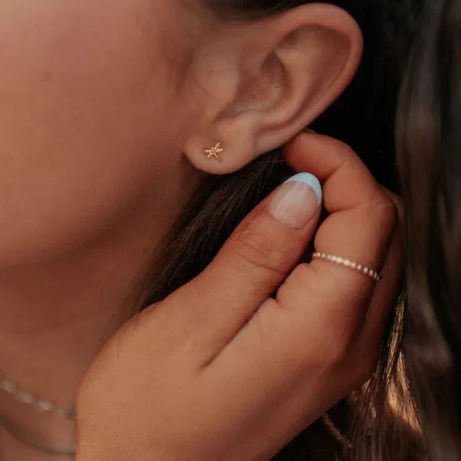 DSC_2688 - Dream Dragons