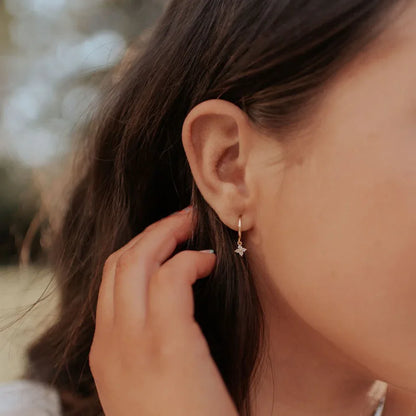 DSC_2833 - Dream Dragons