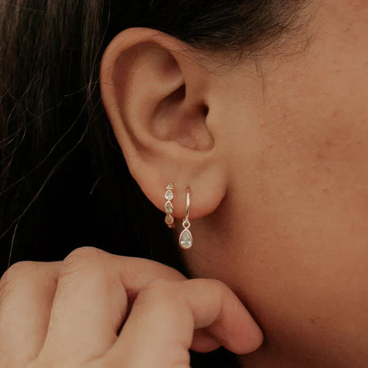 DSC_2858_4287fcbb-214e-4041-b79f-3fa81b16737d - Dream Dragons