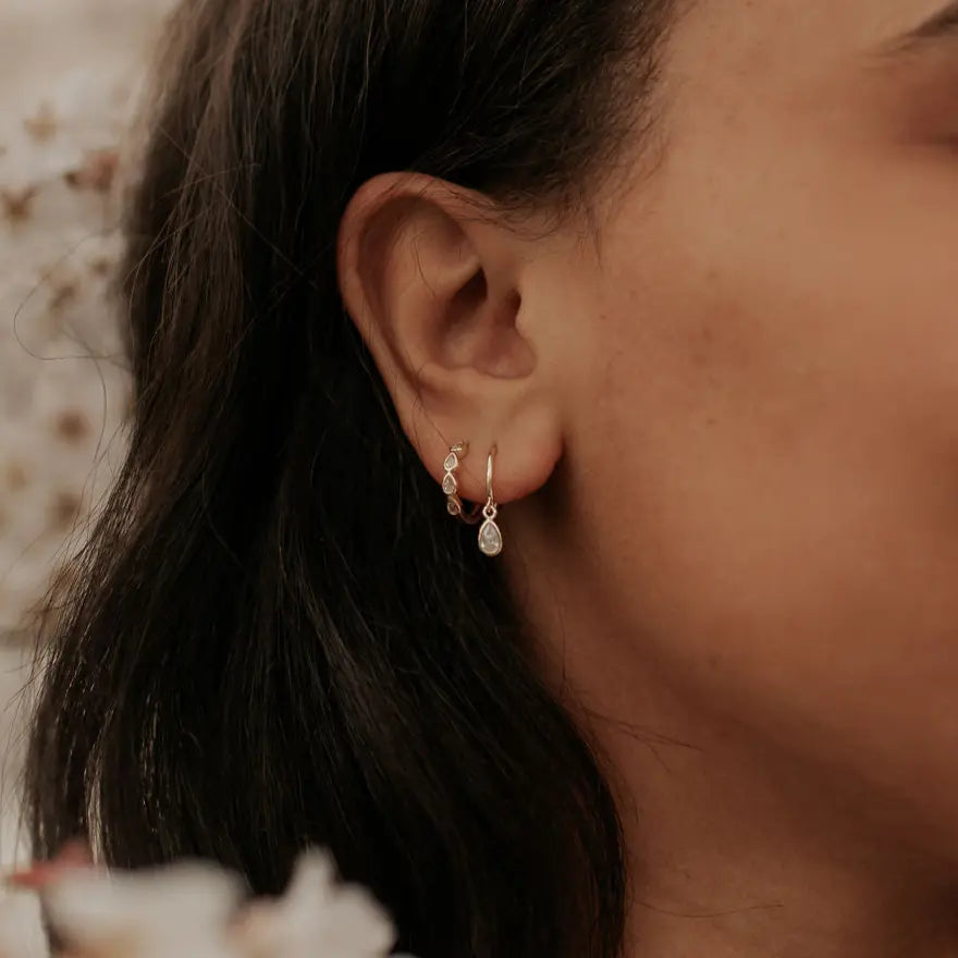 DSC_2913_46b5d218-c077-43ad-939e-3f6f50970e77 - Dream Dragons