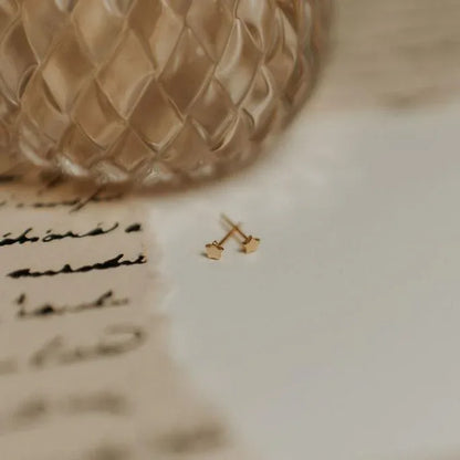 DSC_3032 - Dream Dragons