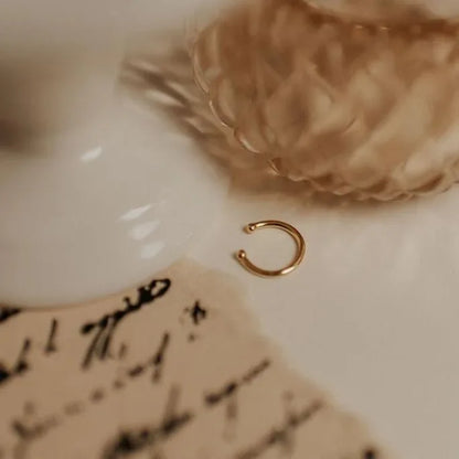 DSC_3091 - Dream Dragons